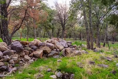 221 E Oso Trail, Hereford, AZ 85615 - Photo 51