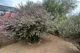 34270 S Bertha St, Black Canyon City, AZ 85324 - Photo 21