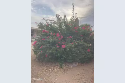 34270 S Bertha Street, Black Canyon City, AZ 85324 - Photo 21