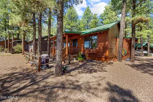 2715 High Pine Loop, Overgaard, AZ 85933 - Photo 25