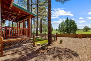 2715 High Pine Loop, Overgaard, AZ 85933 - Photo 29