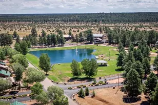 2715 High Pine Loop, Overgaard, AZ 85933 - Photo 45