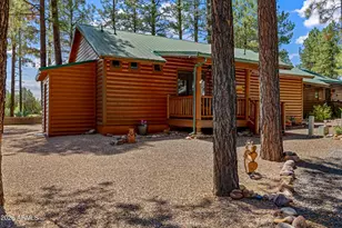 2715 High Pine Loop, Overgaard, AZ 85933 - Photo 19