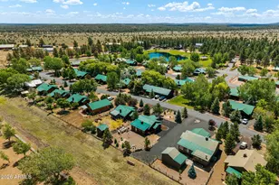 2336 Buffalo Loop N, Overgaard, AZ 85933 - Photo 29