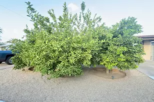 11427 N 112th Dr, Youngtown, AZ 85363 - Photo 3
