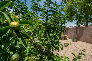 20461 N 105th Ave, Peoria, AZ 85382 - Photo 5