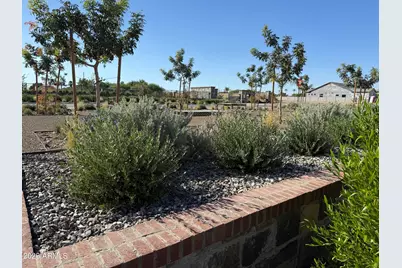 1071 E Peach Tree Drive, Chandler, AZ 85249 - Photo 29