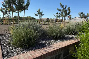 1071 E Peach Tree Dr, Chandler, AZ 85249 - Photo 29