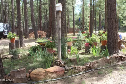 2057 Wildcat Road, Forest Lakes, AZ 85931 - Photo 3