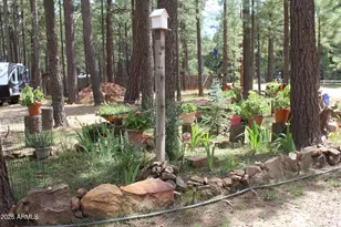 2057 Wildcat Rd, Forest Lakes, AZ 85931 - Photo 3
