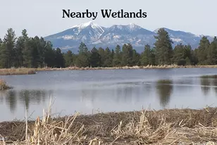 2625 Chaco Trail, Flagstaff, AZ 86005 - Photo 39