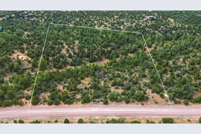 3724 Sunset Ridge Loop #142, Happy Jack, AZ 86024 - Photo 3