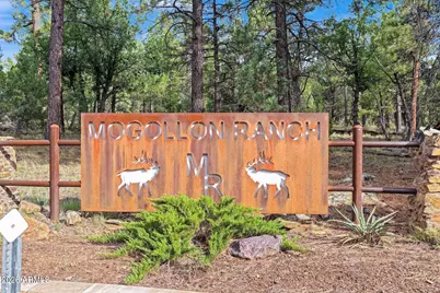 8476 Mogollon Trail #110, Happy Jack, AZ 86024 - Photo 5