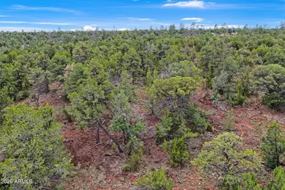 8476 Mogollon Trail #110, Happy Jack, AZ 86024 - Photo 9