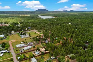 2583 Parkinson Rd, Lakeside, AZ 85929 - Photo 5