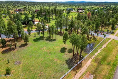 2254 Brown Bear Circle #1, Overgaard, AZ 85933 - Photo 3