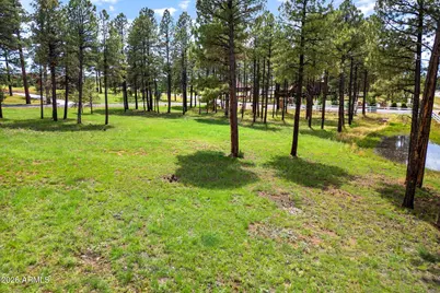2254 Brown Bear Circle #1, Overgaard, AZ 85933 - Photo 15