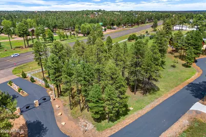 2254 Brown Bear Circle #1, Overgaard, AZ 85933 - Photo 5