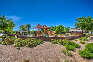 1348 W Alpine Tree Ave, San Tan Valley, AZ 85140 - Photo 65