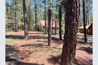 8239 Buck Springs Road, Pinetop, AZ 85935 - Photo 3