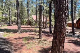 8239 Buck Springs Rd, Pinetop, AZ 85935 - Photo 3