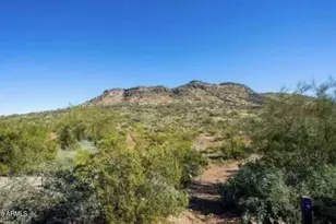 4130 W Alex Loop, Phoenix, AZ 85083 - Photo 41