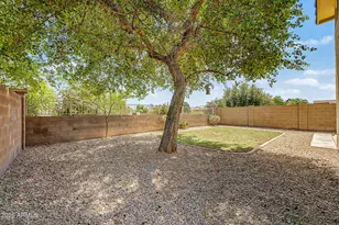 1234 W Mesquite Tree Ln, San Tan Valley, AZ 85143 - Photo 21