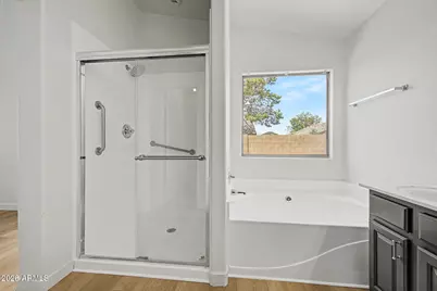 3866 S Joshua Tree Lane, Gilbert, AZ 85297 - Photo 29