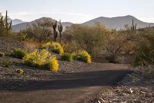 2121 W Sonoran Desert Dr, Phoenix, AZ 85085 - Photo 29