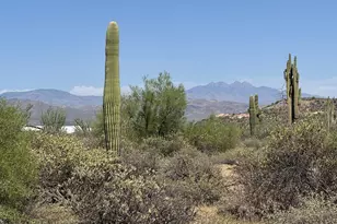 16800 E Bajada Dr, Rio Verde, AZ 85263 - Photo 1