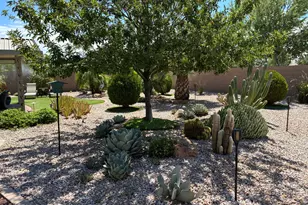 11447 E Nell Ave, Mesa, AZ 85209 - Photo 45