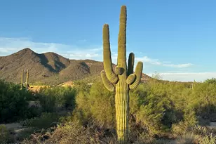 34850 N Cave Creek Rd, Carefree, AZ 85377 - Photo 1