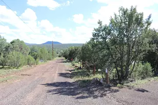 10 N3085, Show Low, AZ 85901 - Photo 19