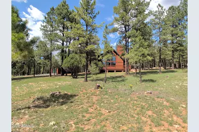 3738 W Apache Drive, Happy Jack, AZ 86024 - Photo 3