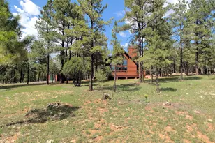 3738 W Apache Dr, Happy Jack, AZ 86024 - Photo 3