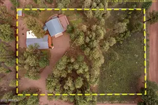 11 Whitetail Rd, Alpine, AZ 85920 - Photo 47