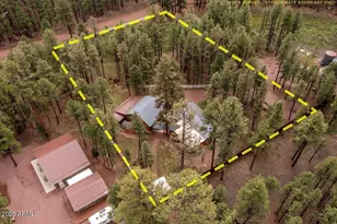 11 Whitetail Rd, Alpine, AZ 85920 - Photo 45