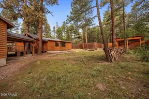 11 Whitetail Rd, Alpine, AZ 85920 - Photo 37