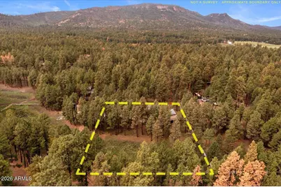 11 Whitetail Road, Alpine, AZ 85920 - Photo 41