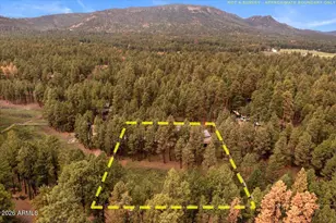 11 Whitetail Rd, Alpine, AZ 85920 - Photo 41