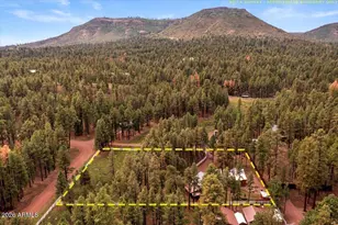 11 Whitetail Rd, Alpine, AZ 85920 - Photo 43