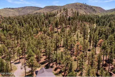 14 County Road N1062 -- #15, Greer, AZ 85927 - Photo 5