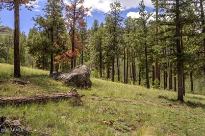 14 County Road N1062 -- #15, Greer, AZ 85927 - Photo 1