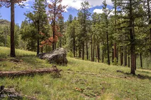 14 County Rd N1062, Greer, AZ 85927 - Photo 1