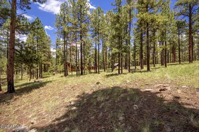 14 County Road N1062 -- #15, Greer, AZ 85927 - Photo 3