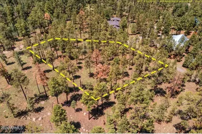 14 County Road N1062 -- #15, Greer, AZ 85927 - Photo 7