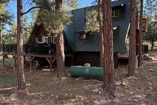 2421 W Velvet Antler Trail, Happy Jack, AZ 86024 - Photo 39