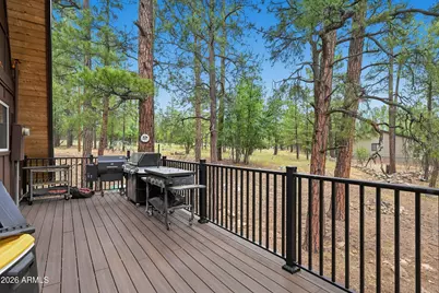 2421 W Velvet Antler Trail, Happy Jack, AZ 86024 - Photo 7