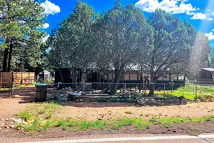 2863 Pine Rim Rd, Overgaard, AZ 85933 - Photo 3