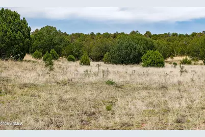 000-B Pine Ridge Trail Rd -- #50, Seligman, AZ 86337 - Photo 7